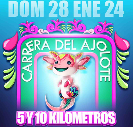 CARRERA DEL AJOLOTE
