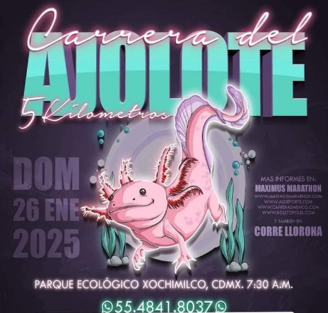 CARRERA DEL AJOLOTE 2025
